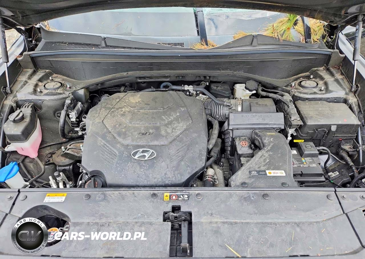 2021 Hyundai Palisade Sel VIN:KM8R2DHE5MU305366 - 12