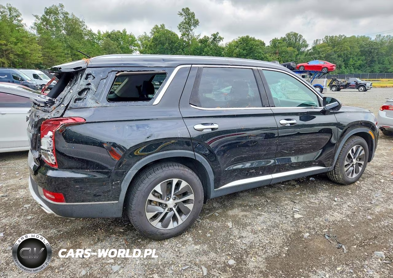 2021 Hyundai Palisade Sel VIN:KM8R2DHE5MU305366 - 3