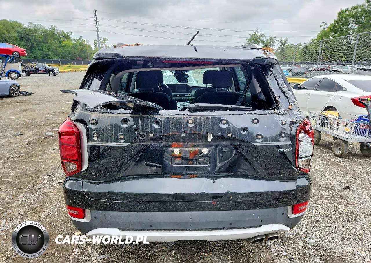 2021 Hyundai Palisade Sel VIN:KM8R2DHE5MU305366 - 6
