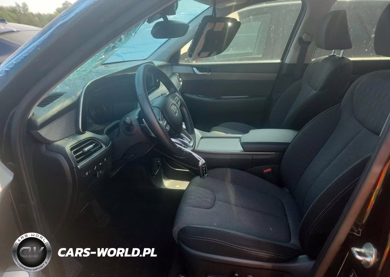 2021 Hyundai Palisade Sel VIN:KM8R2DHE5MU305366 - 7
