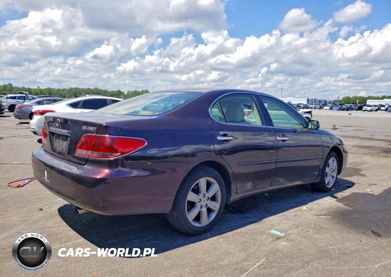 2005 Lexus Es 330 VIN:JTHBA30GX55126282 - 3