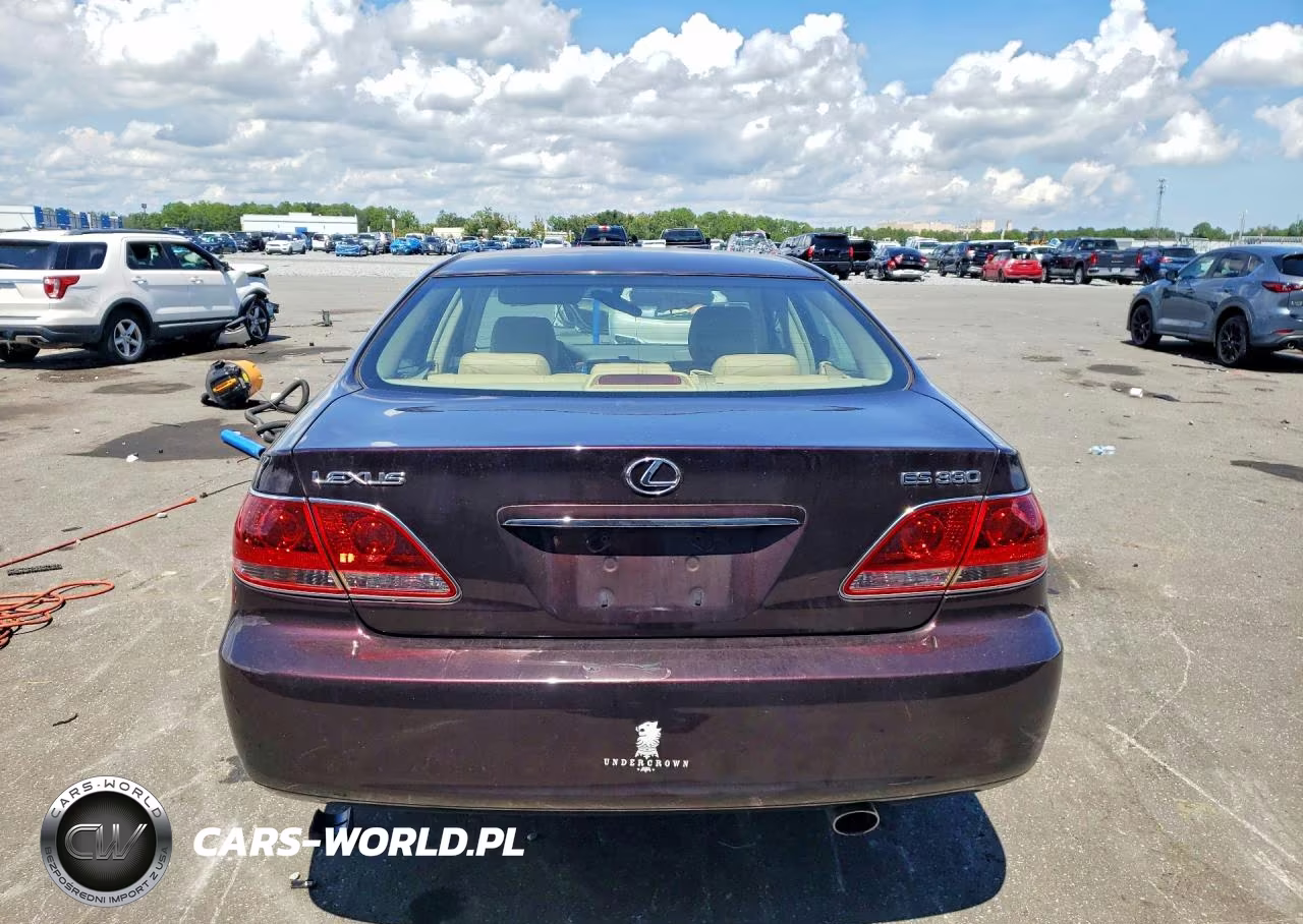 2005 Lexus Es 330 VIN:JTHBA30GX55126282 - 6