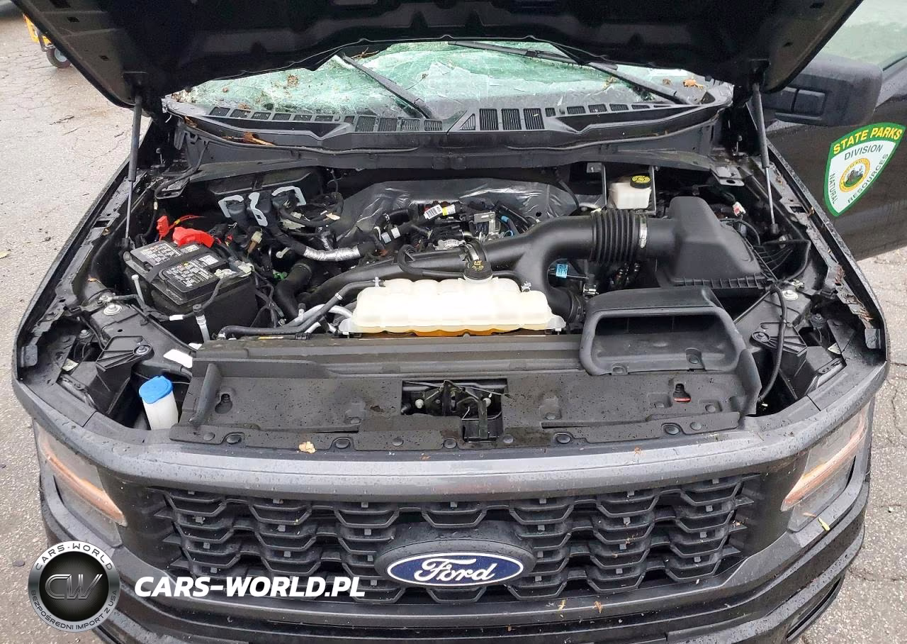 2024 Ford F150 Stx VIN:1FTEX2LP2RKD71636 - 11