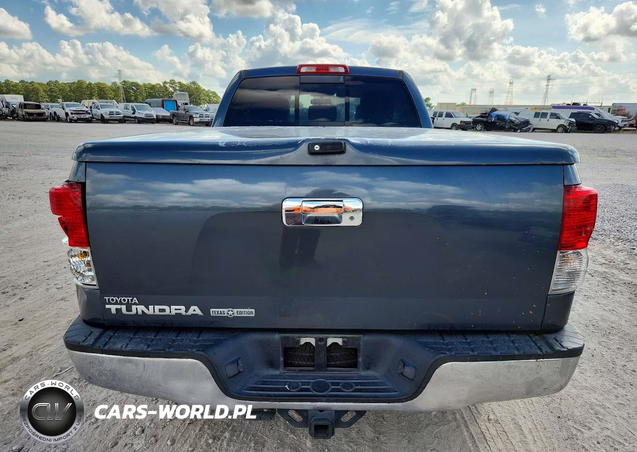 2010 Toyota Tundra Double Cab Sr5 VIN:5TFRY5F11AX092970 - 6