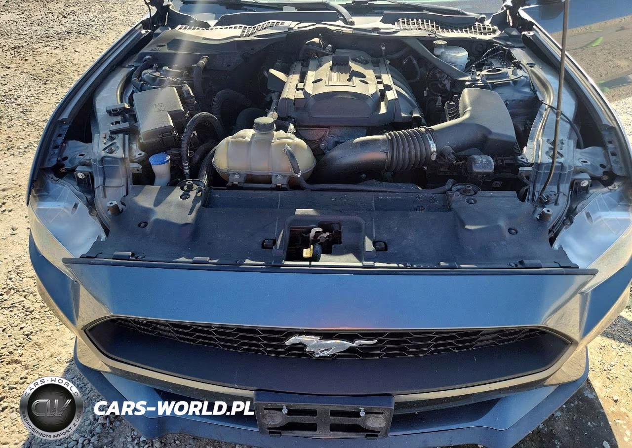 2020 Ford Mustang VIN:1FATP8UHXL5120554 - 11