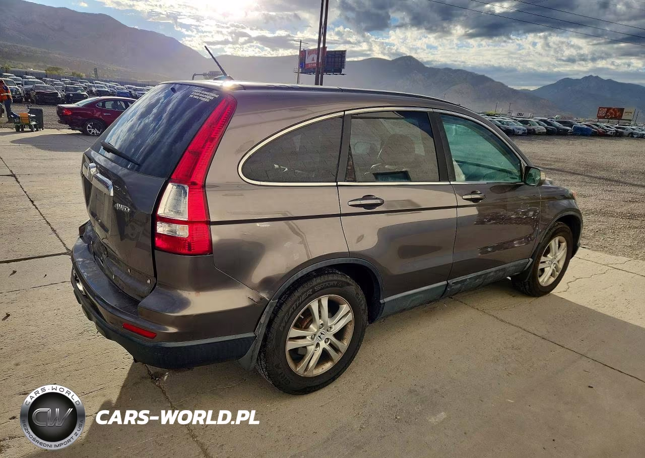 2010 Honda Cr-V Exl VIN:5J6RE4H78AL079624 - 3
