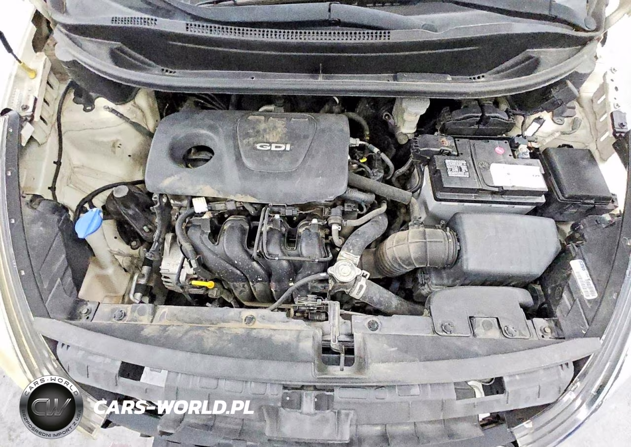 2016 Kia Rio Lx VIN:KNADM4A32G6664925 - 11