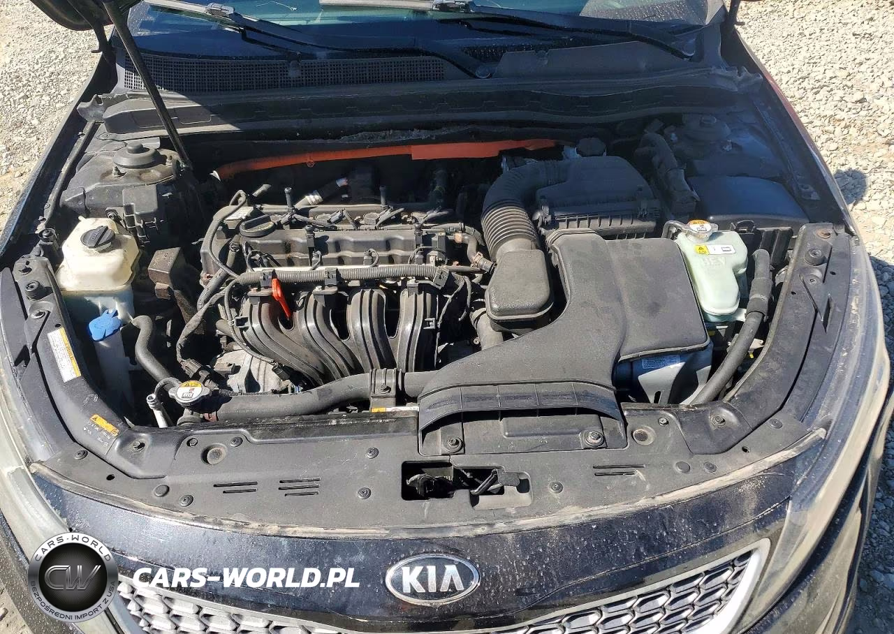 2015 Kia Optima Hybrid VIN:KNAGM4AD3F5088045 - 11