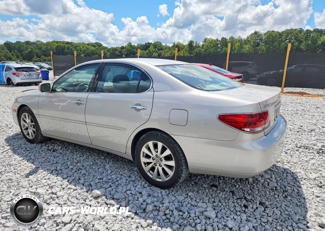 2006 Lexus Es 330 VIN:JTHBA30G865163798 - 2