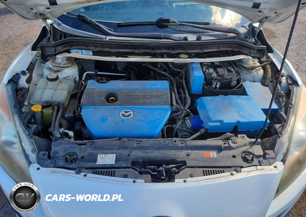 2010 Mazda 3 I VIN:JM1BL1SGXA1209967 - 11