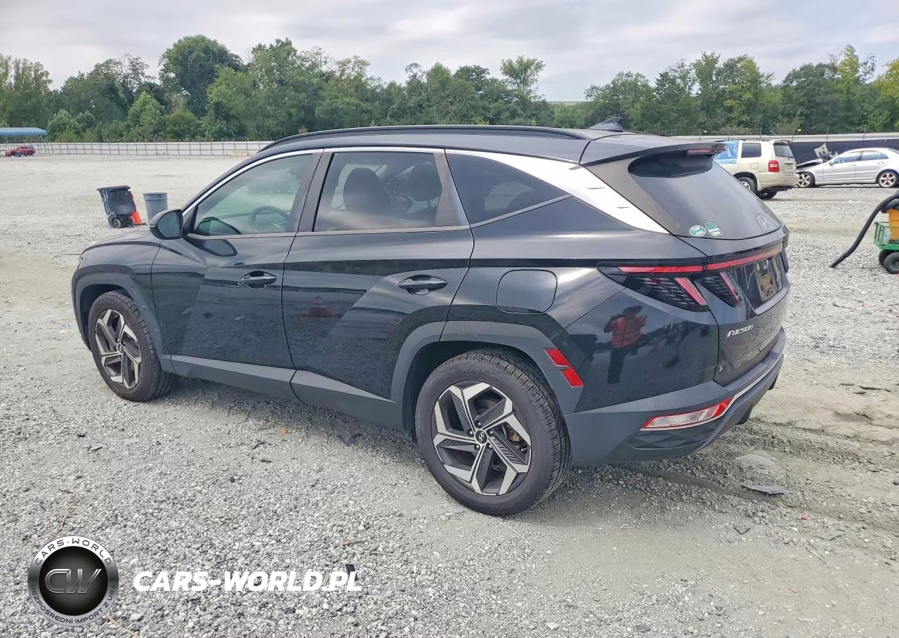 2022 Hyundai Tucson Sel VIN:5NMJC3AE0NH029139 - 2