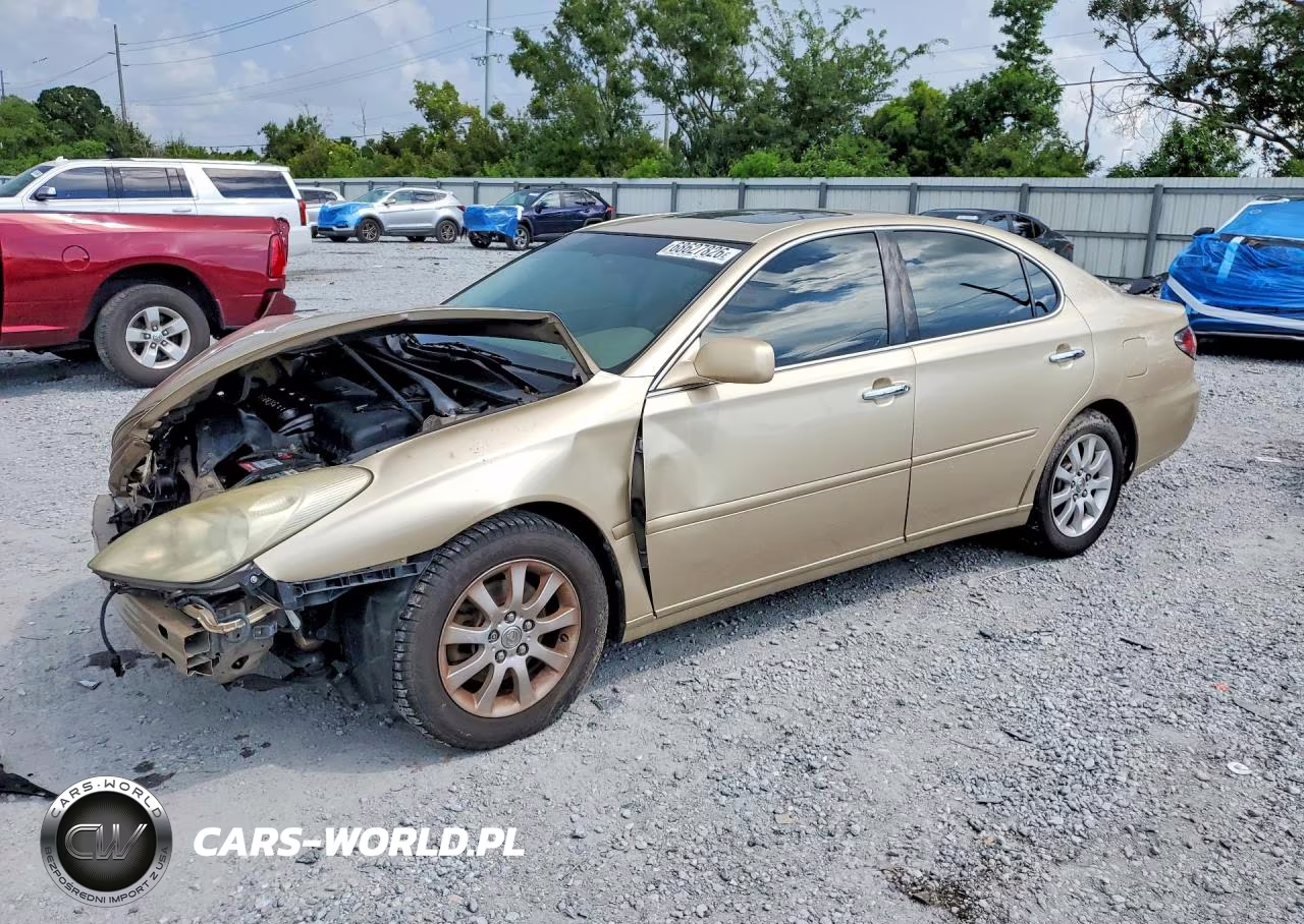 2004 Lexus Es 330 VIN:JTHBA30G345044683 - 1