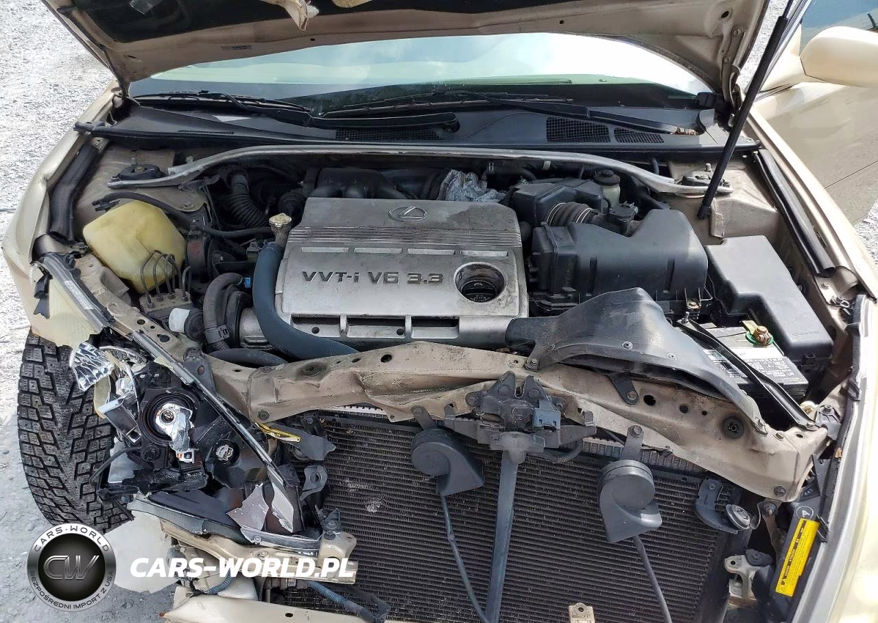 2004 Lexus Es 330 VIN:JTHBA30G345044683 - 11