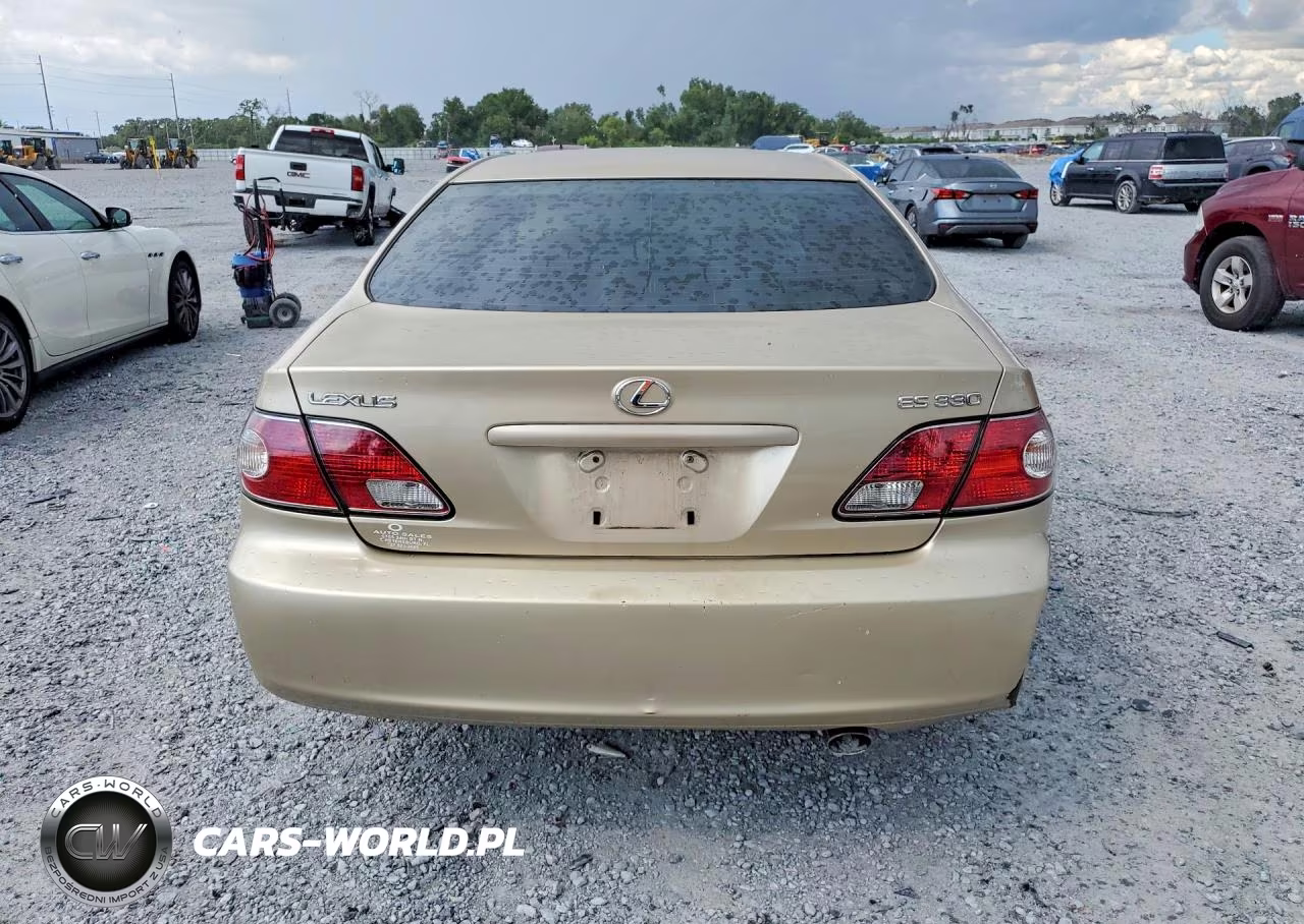 2004 Lexus Es 330 VIN:JTHBA30G345044683 - 6