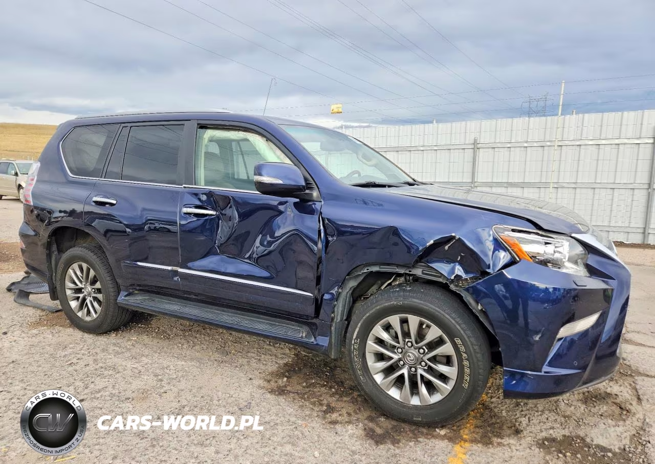 2017 Lexus Gx 460 Premium VIN:JTJJM7FX5H5162692 - 4