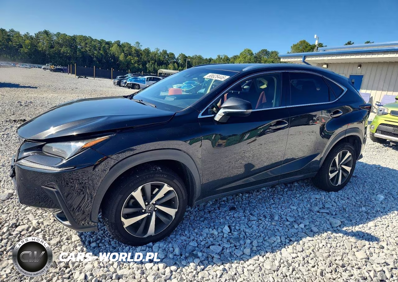 2018 Lexus Nx 300 Base VIN:JTJBARBZ1J2172479 - 1