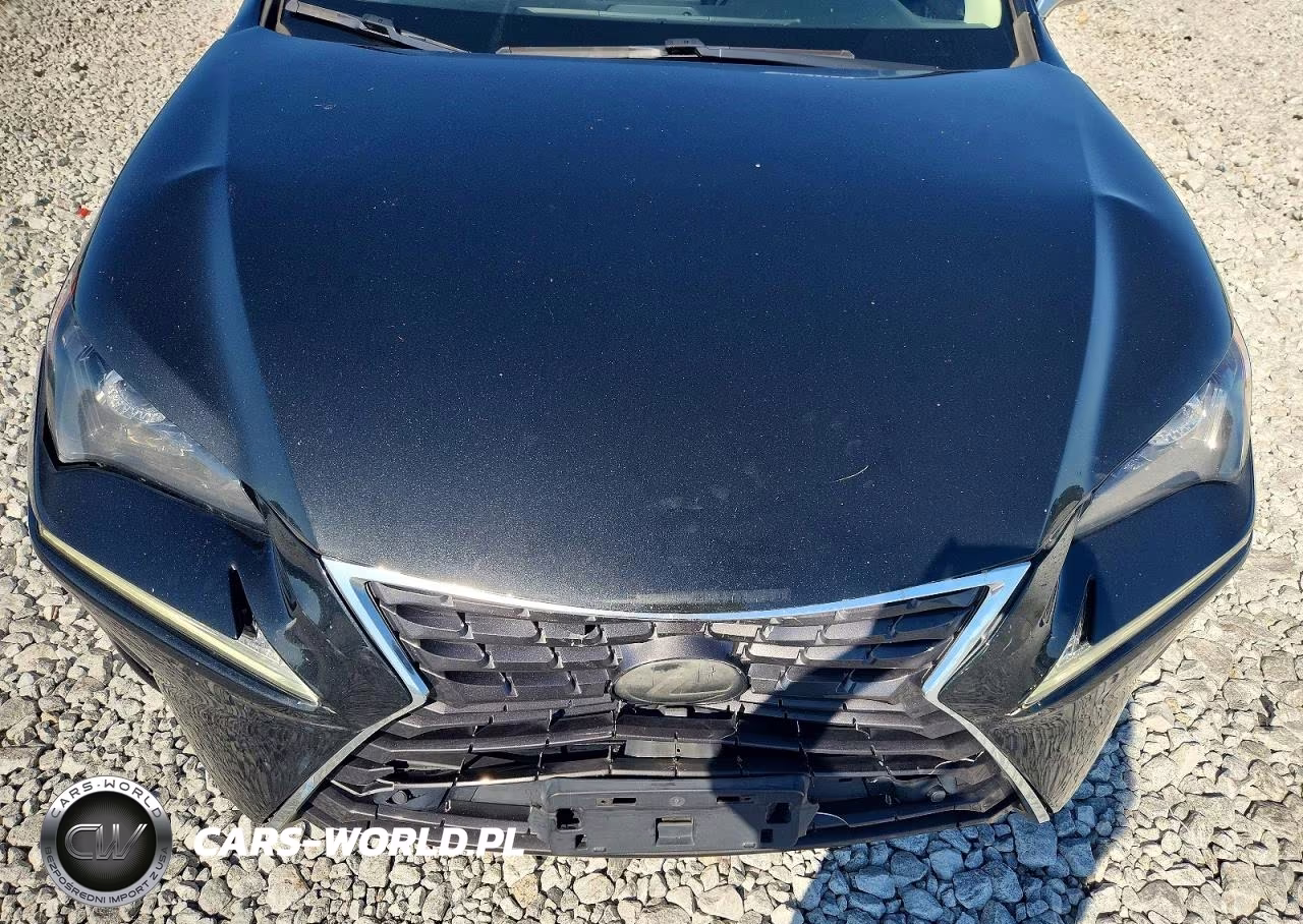 2018 Lexus Nx 300 Base VIN:JTJBARBZ1J2172479 - 12