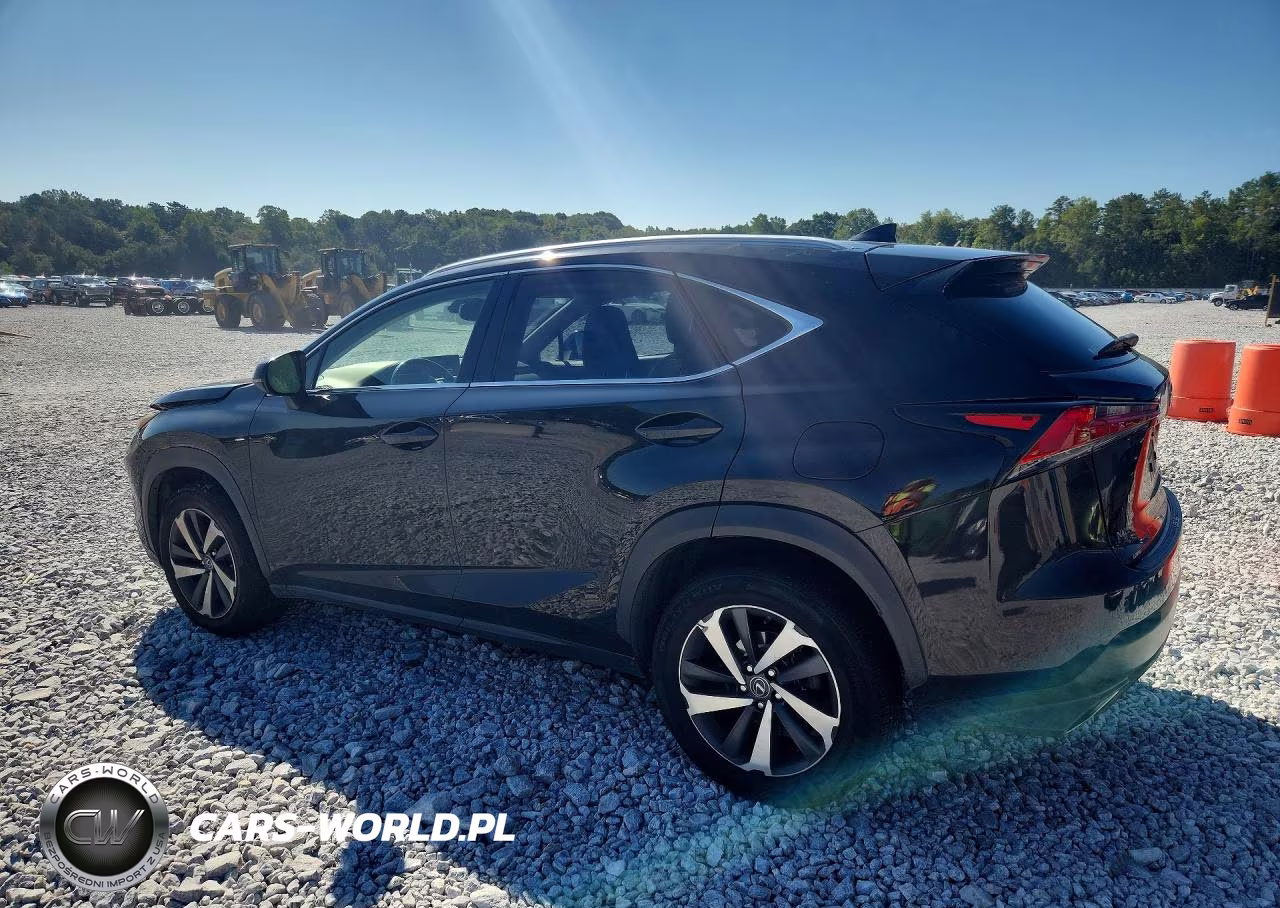 2018 Lexus Nx 300 Base VIN:JTJBARBZ1J2172479 - 2