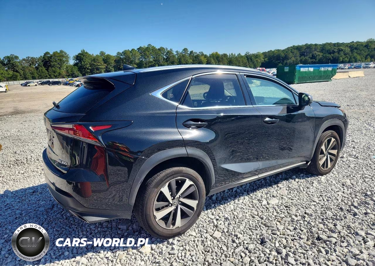 2018 Lexus Nx 300 Base VIN:JTJBARBZ1J2172479 - 3
