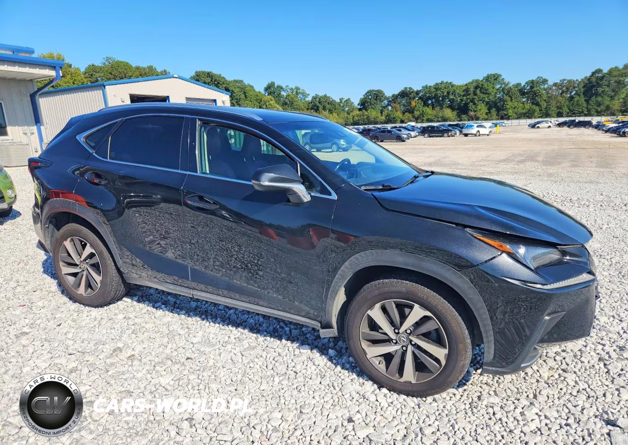 2018 Lexus Nx 300 Base VIN:JTJBARBZ1J2172479 - 4
