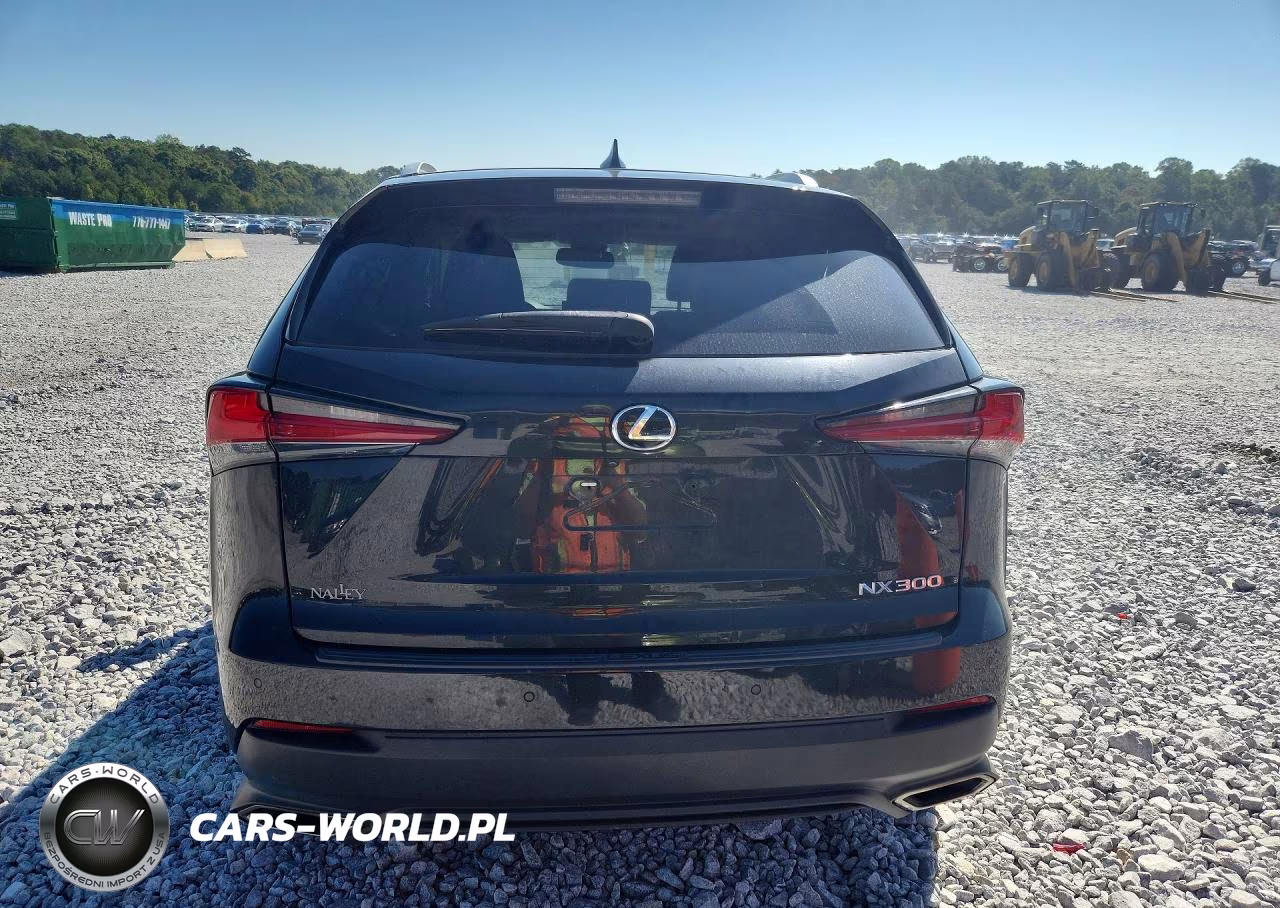 2018 Lexus Nx 300 Base VIN:JTJBARBZ1J2172479 - 6