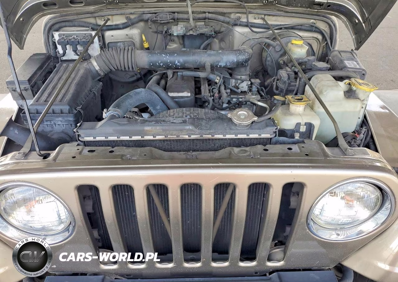2002 Jeep Wrangler - Tj X VIN:1J4FA39S02P773830 - 11