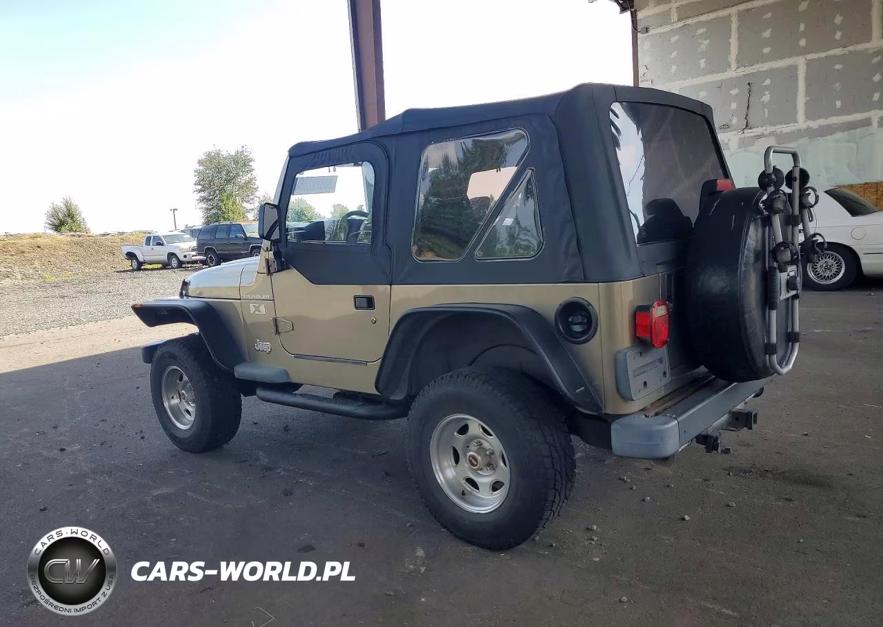 2002 Jeep Wrangler - Tj X VIN:1J4FA39S02P773830 - 2