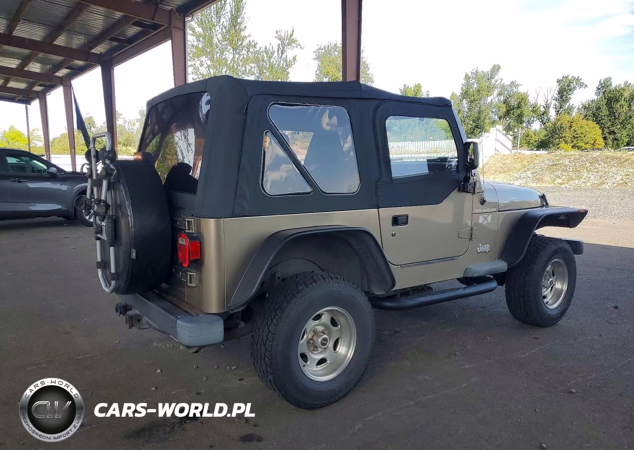 2002 Jeep Wrangler - Tj X VIN:1J4FA39S02P773830 - 3