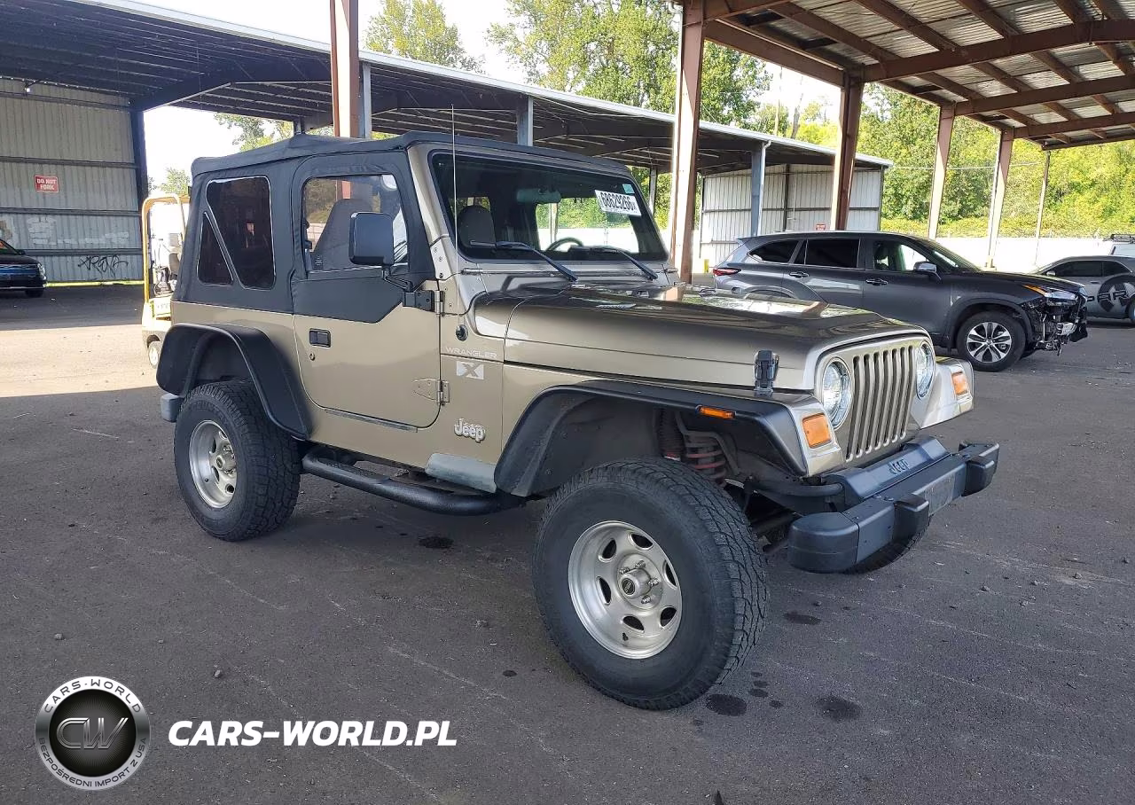 2002 Jeep Wrangler - Tj X VIN:1J4FA39S02P773830 - 4