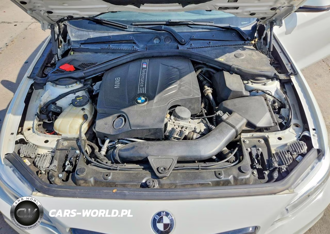 2015 BMW M235Xi VIN:WBA1J9C58FV371090 - 11