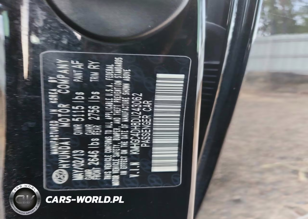2013 Hyundai Genesis 5.0L VIN:KMHGC4DH8DU243062 - 12