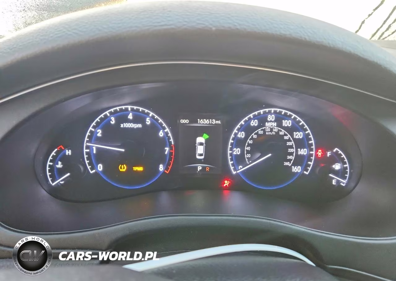 2013 Hyundai Genesis 5.0L VIN:KMHGC4DH8DU243062 - 9