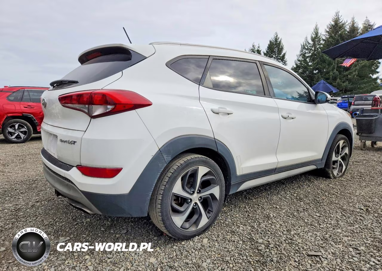 2017 Hyundai Tucson Sport VIN:KM8J33A26HU549327 - 3