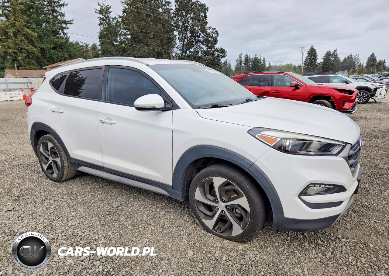 2017 Hyundai Tucson Sport VIN:KM8J33A26HU549327 - 4