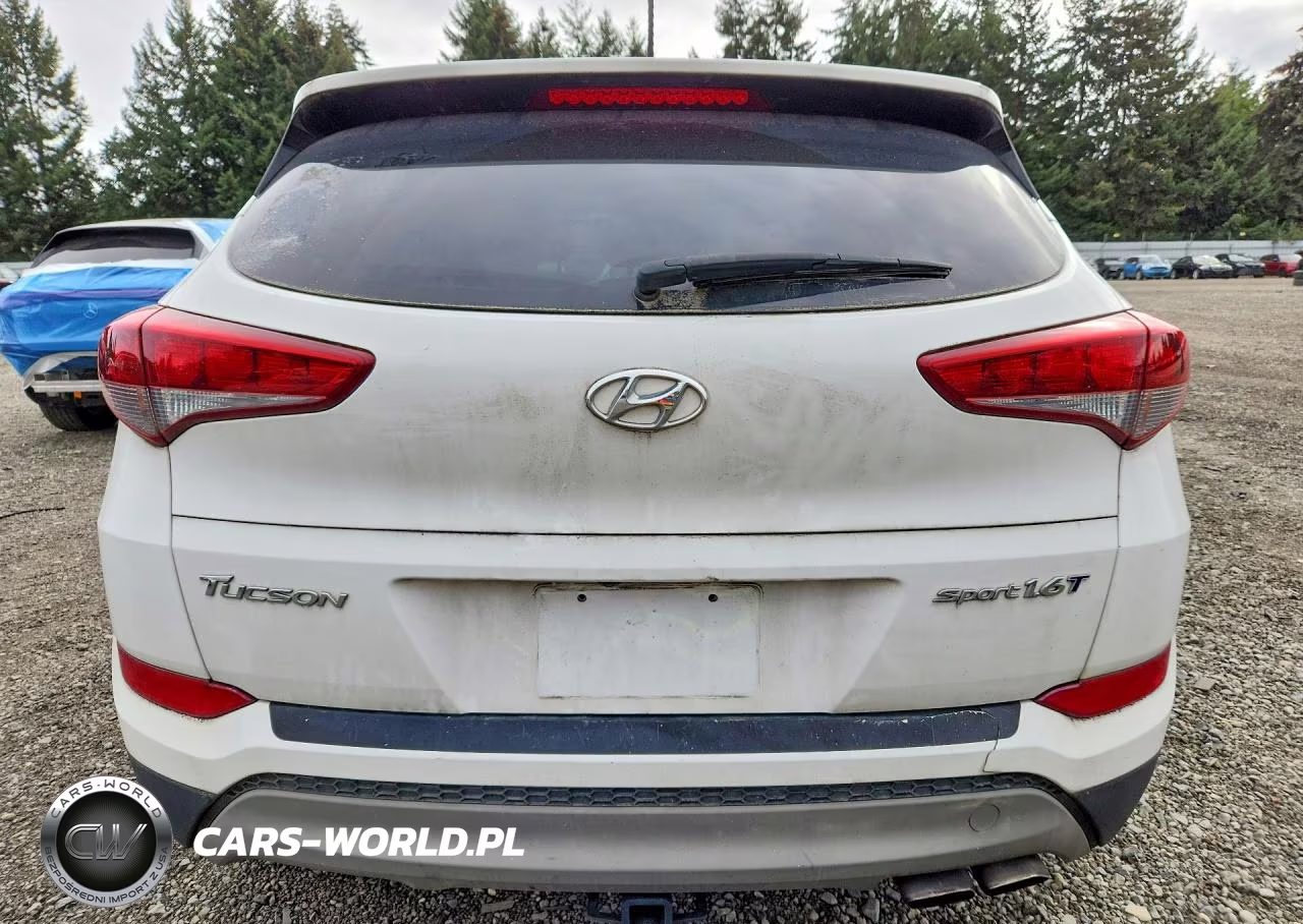 2017 Hyundai Tucson Sport VIN:KM8J33A26HU549327 - 6