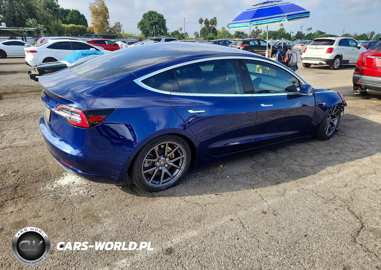 2019 Tesla Model 3 VIN:5YJ3E1EAXKF411741 - 3