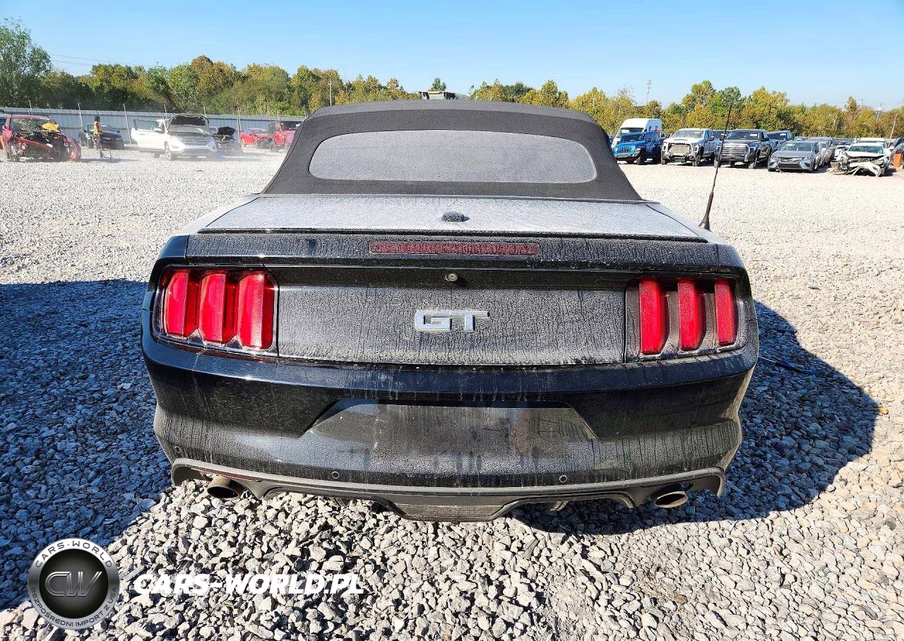 2016 Ford Mustang Gt VIN:1FATP8FF7G5309003 - 6