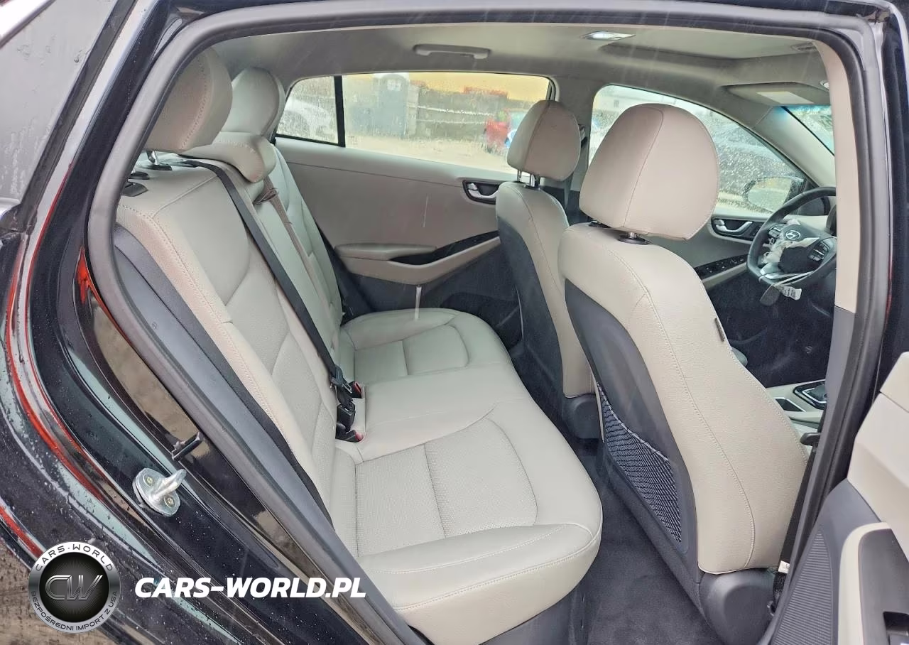 2019 Hyundai Ioniq Limited VIN:KMHC05LC8KU109331 - 10