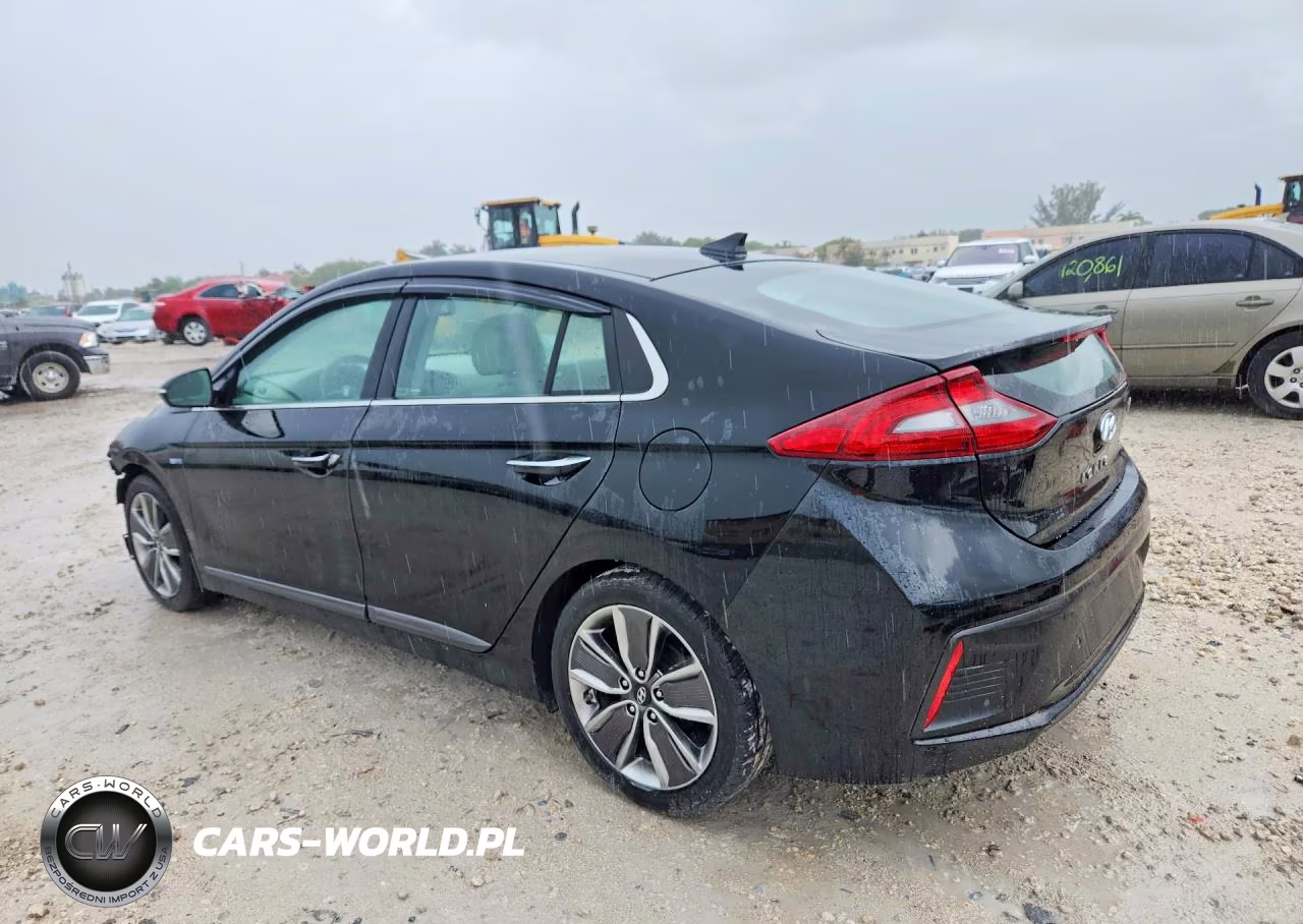 2019 Hyundai Ioniq Limited VIN:KMHC05LC8KU109331 - 2