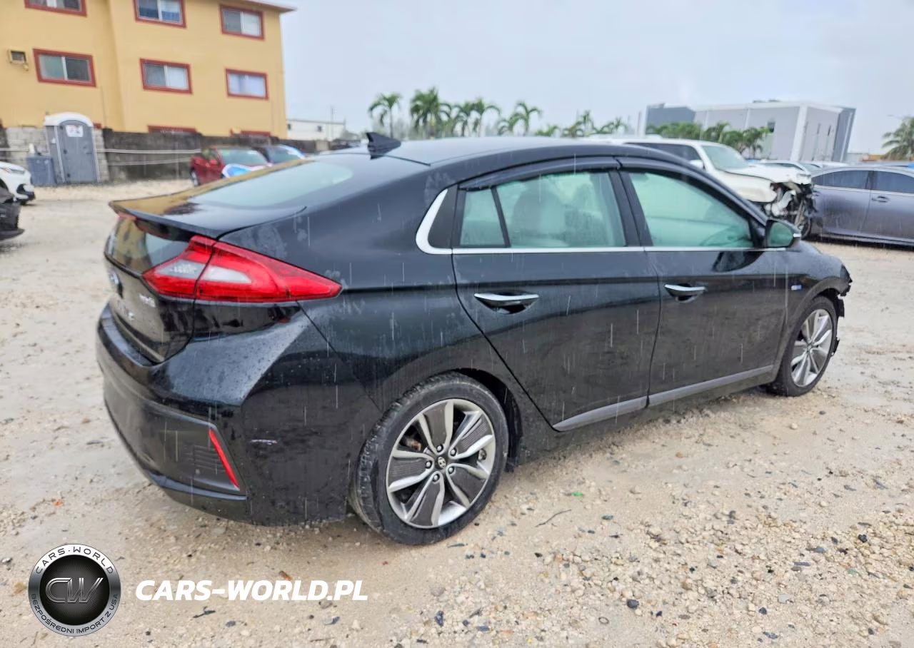 2019 Hyundai Ioniq Limited VIN:KMHC05LC8KU109331 - 3