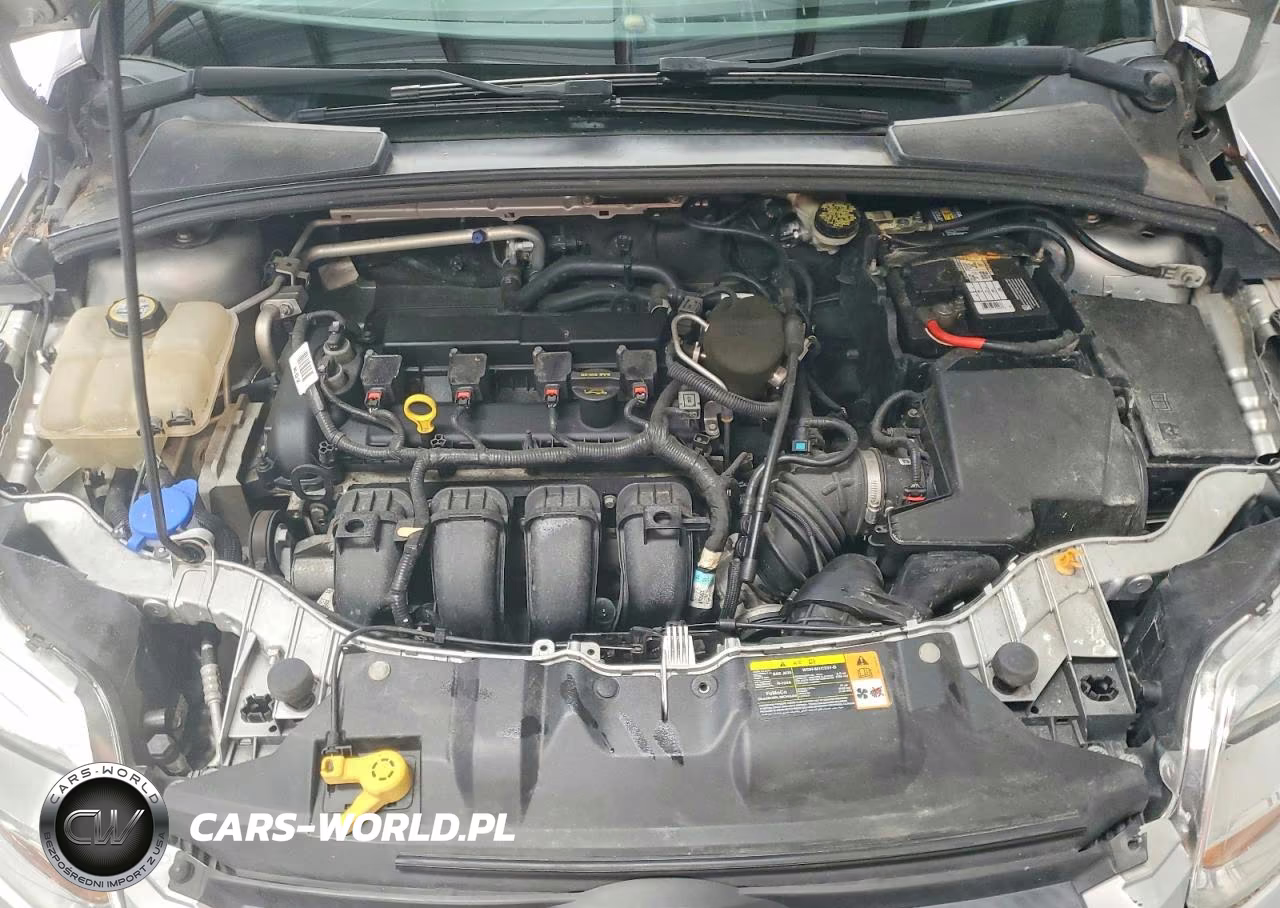 2013 Ford Focus Se VIN:1FADP3F25DL216699 - 11