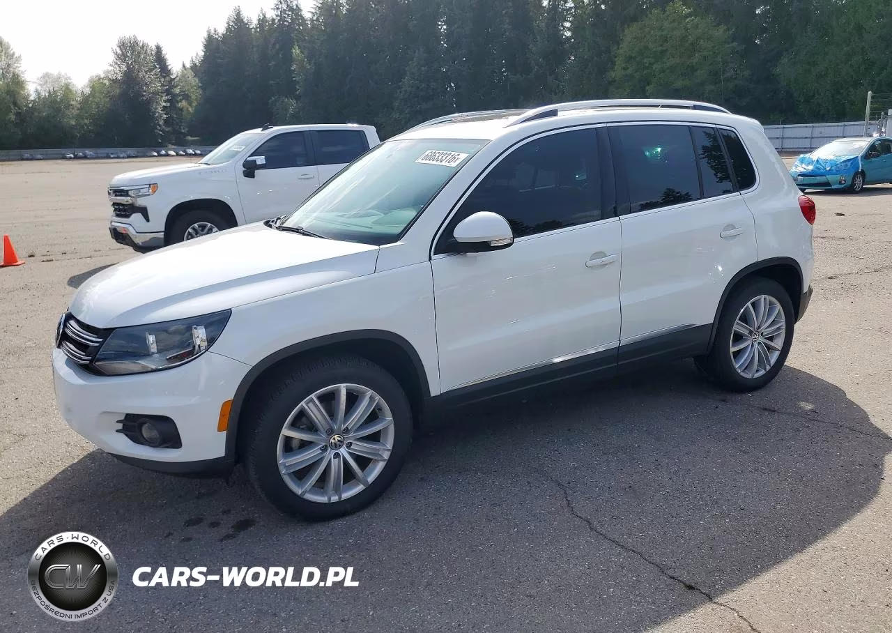 2015 Volkswagen Tiguan S VIN:WVGBV7AX9FW563922 - 1