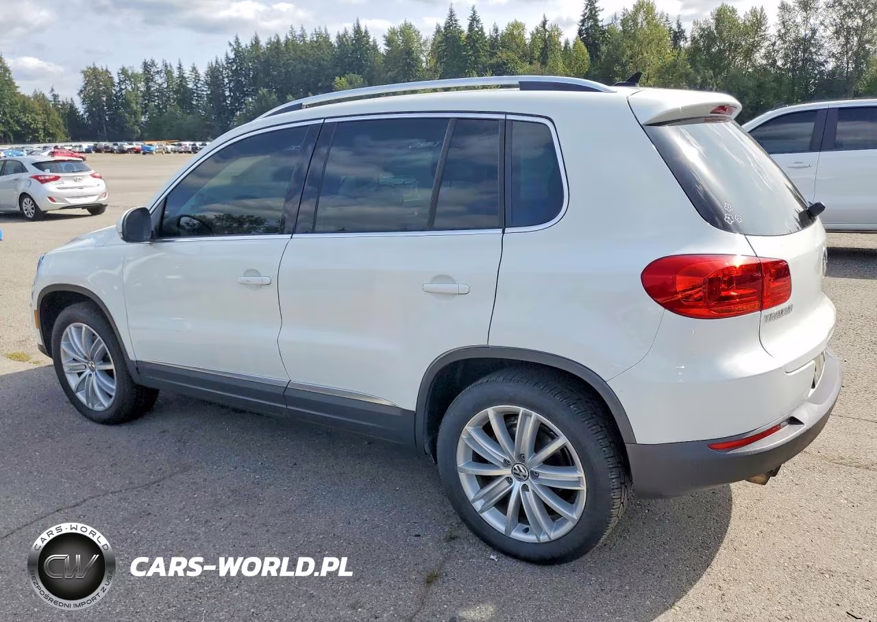 2015 Volkswagen Tiguan S VIN:WVGBV7AX9FW563922 - 2