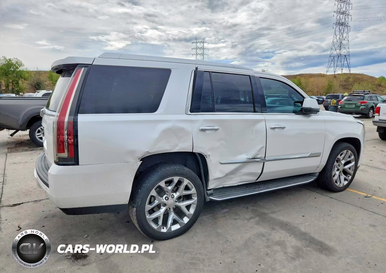 2016 Cadillac Escalade Luxury VIN:1GYS4BKJ6GR256481 - 3