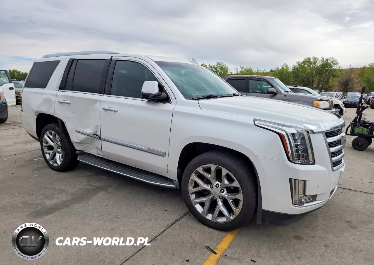 2016 Cadillac Escalade Luxury VIN:1GYS4BKJ6GR256481 - 4