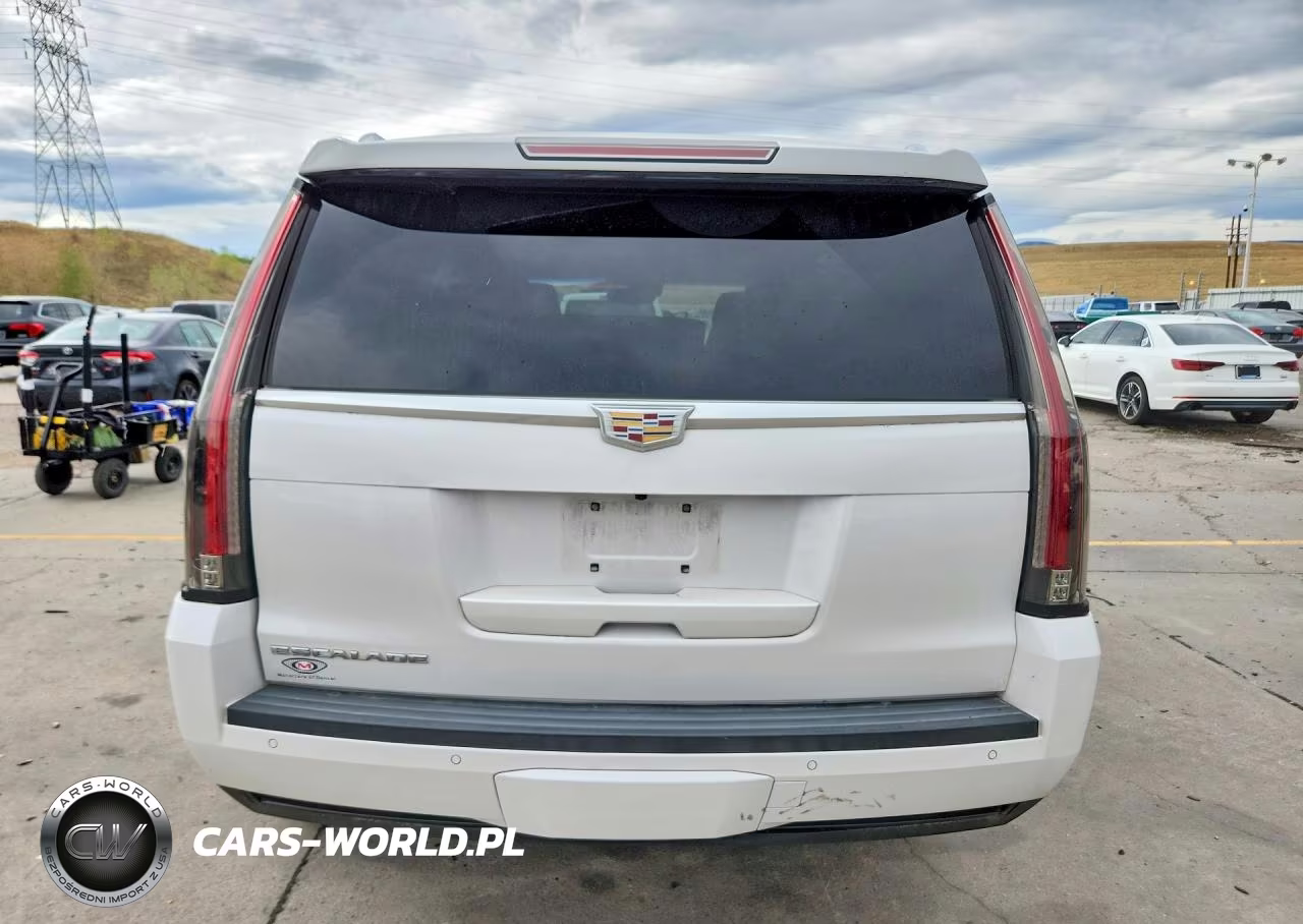 2016 Cadillac Escalade Luxury VIN:1GYS4BKJ6GR256481 - 6