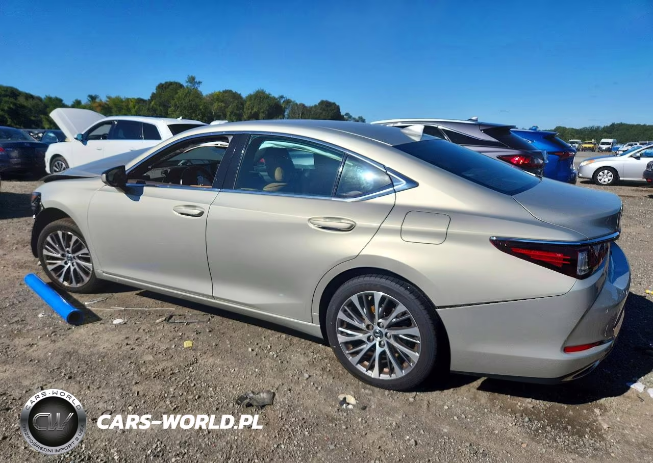 2019 Lexus Es 350 VIN:58ABZ1B10KU049287 - 2