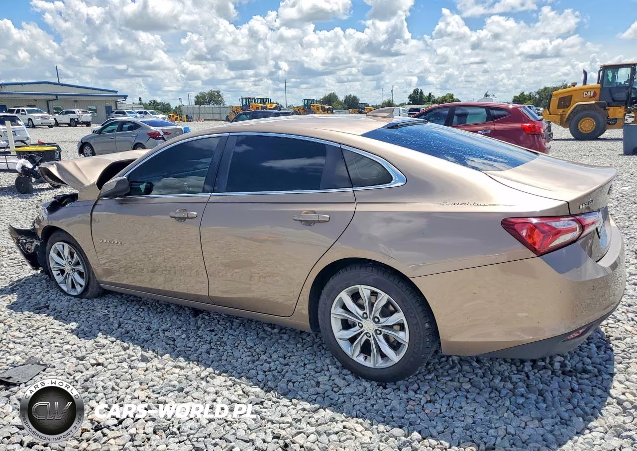 2019 Chevrolet Malibu Lt VIN:1G1ZD5ST3KF122179 - 2