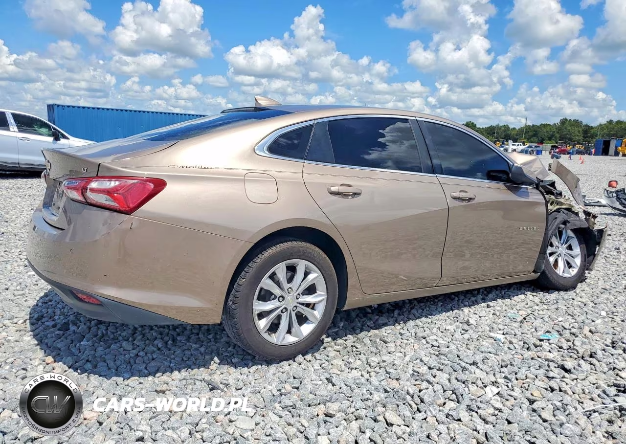 2019 Chevrolet Malibu Lt VIN:1G1ZD5ST3KF122179 - 3