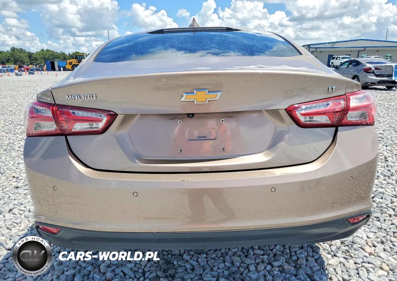 2019 Chevrolet Malibu Lt VIN:1G1ZD5ST3KF122179 - 6
